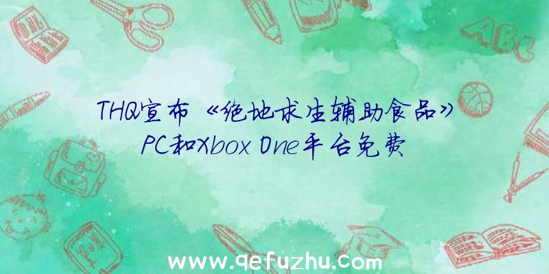 THQ宣布《绝地求生辅助食品》PC和Xbox